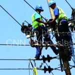 PLN