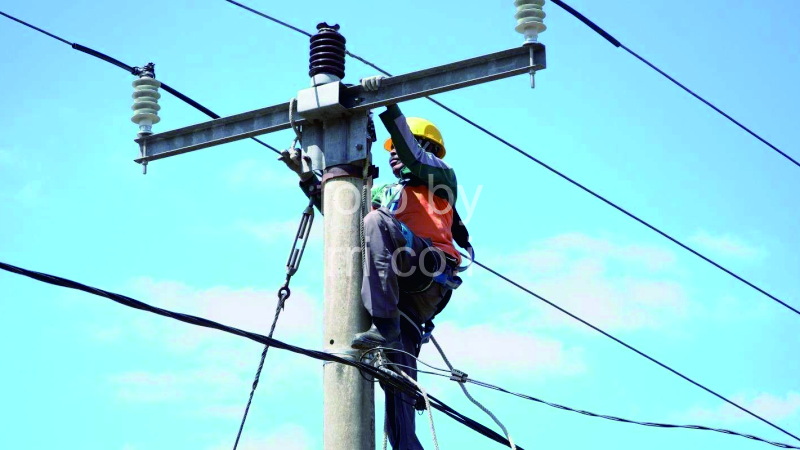 PLN