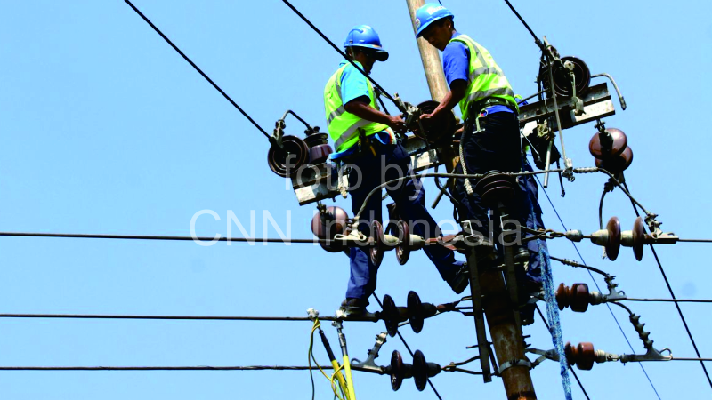 PLN